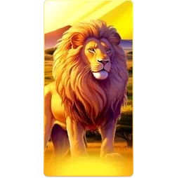 Lion
Safari